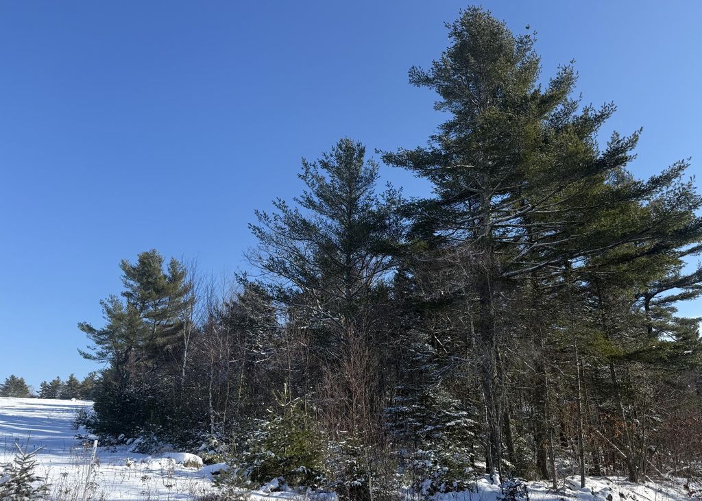 Photo of MR2 L123B Pout Town Road, Stockton Springs, ME 04981 (MLS # 1650149)