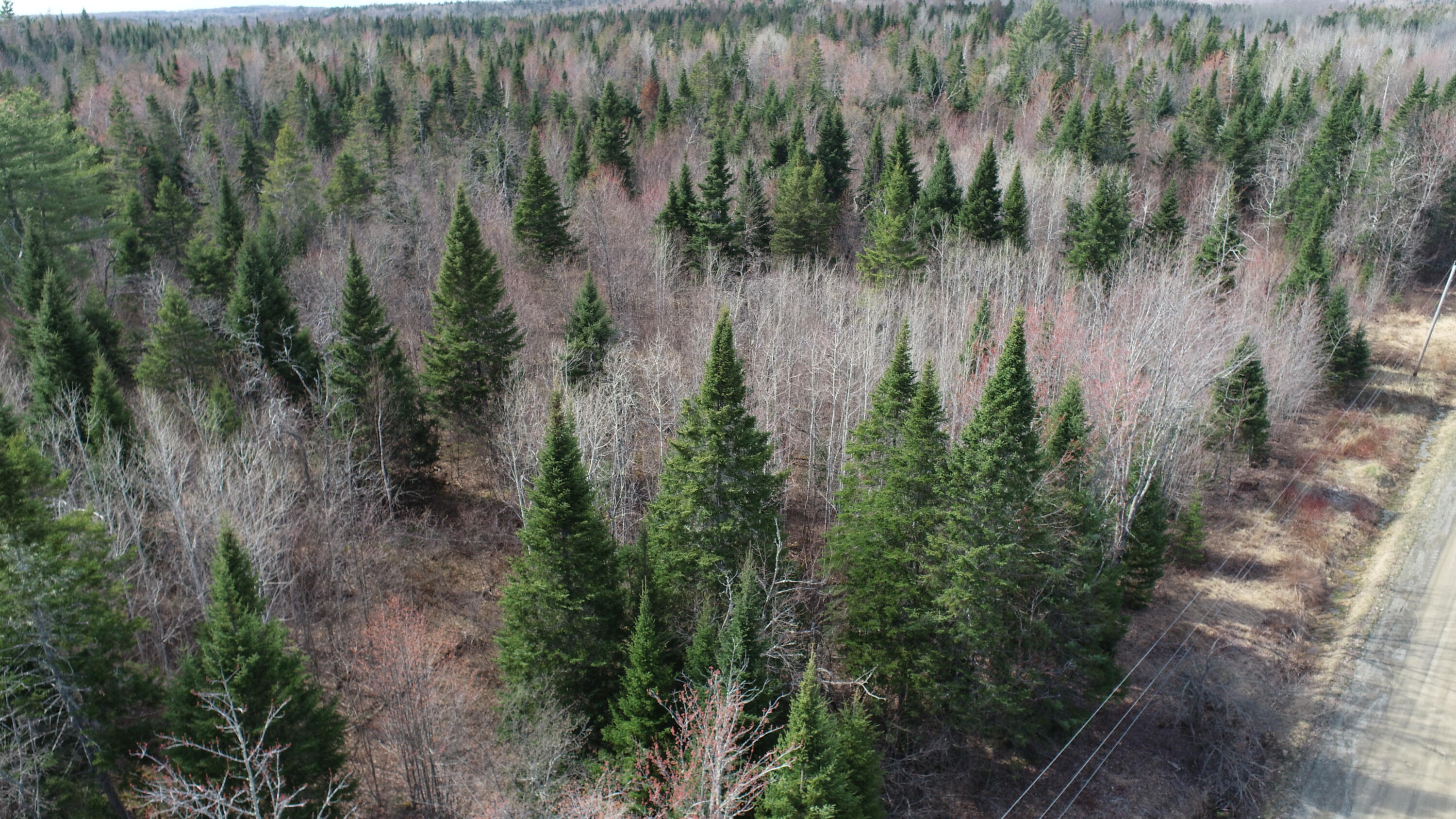 Lot 25 Smyrna Townline Road