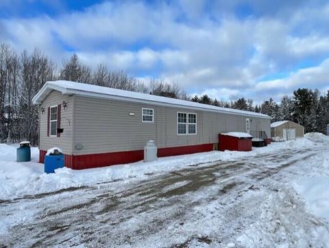 Photo of 163 Blacks Woods Road, Cherryfield, ME 04622 (MLS # 1651815)