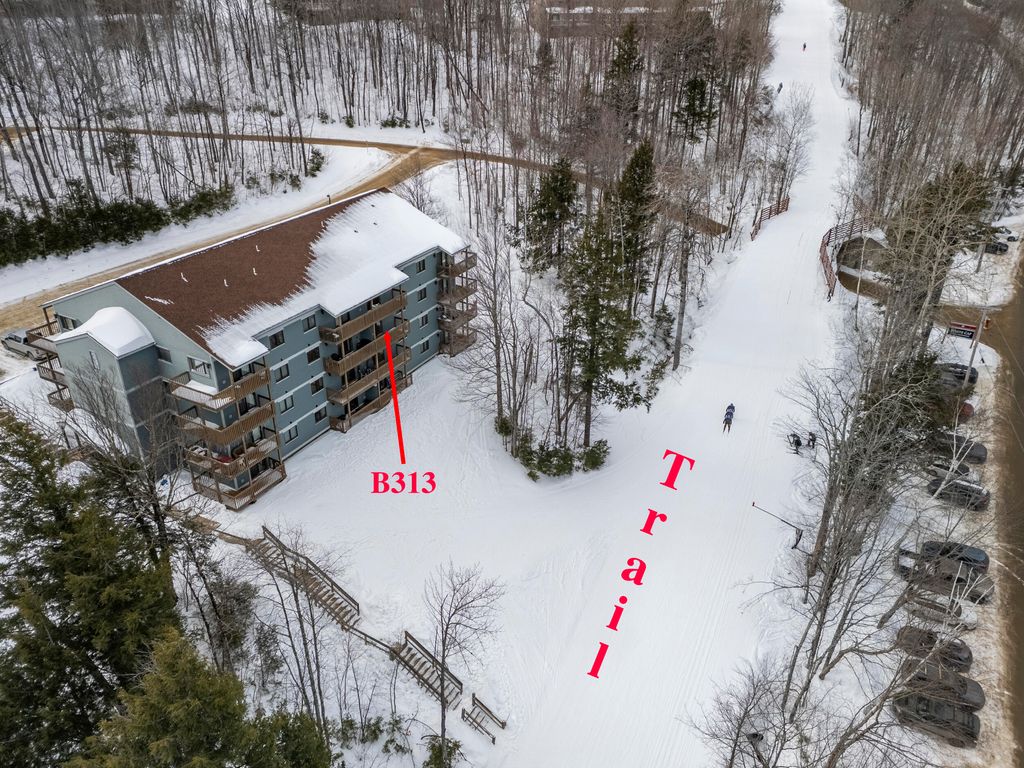 Photo of 8 Moonstruck Drive #B303, Newry, ME 04261 (MLS # 1652062)