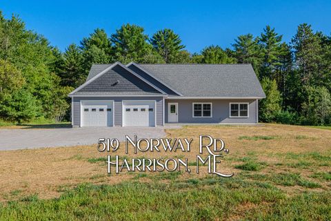 Photo of 519 Norway Road, Harrison, ME 04040 (MLS # 1634519)