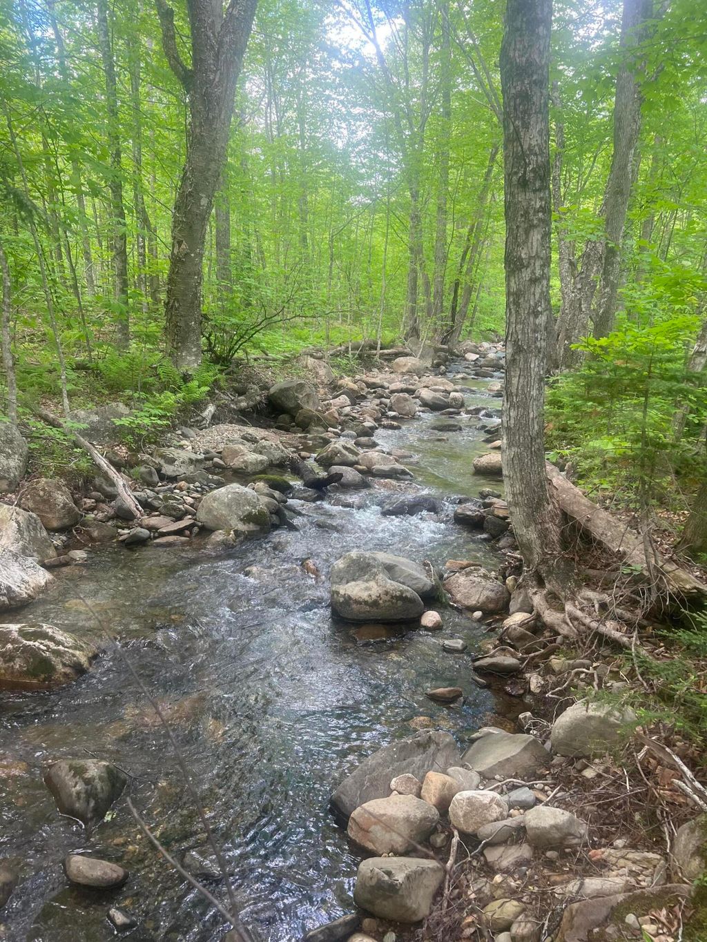 Photo of Lot 6 Farm's Edge Road, Temple, ME 04984 (MLS # 1649299)