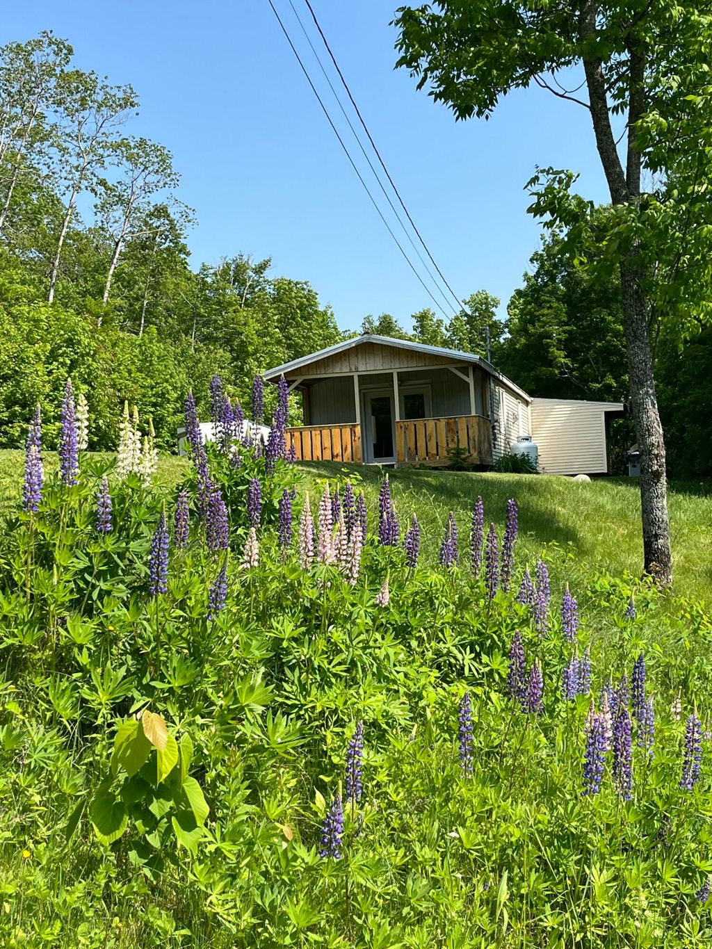 Photo of 221 Shirley Road, Blanchard Twp, ME 04406 (MLS # 1655504)