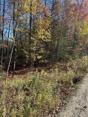 MAYHEW RD, ANSON, ME 04911 - Image 21d1502c751a83ae2ee9cd4dda3c6fbc/787538053