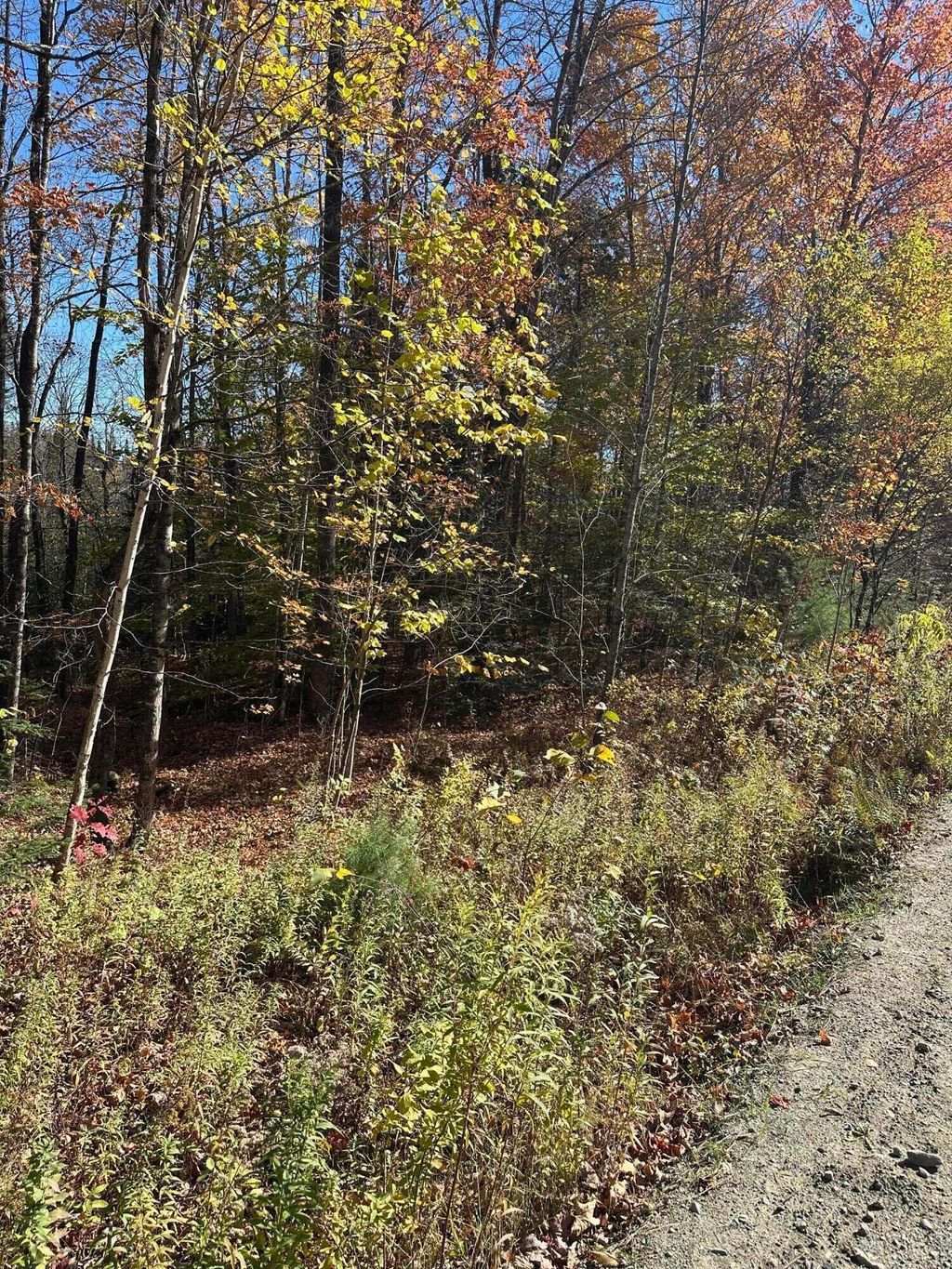 Photo of 1.3 Mayhew Road, Starks, ME 04911 (MLS # 1641598)