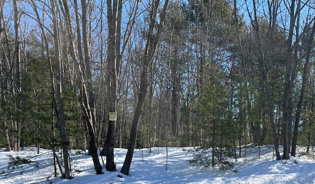 Lot 36A Mills Road