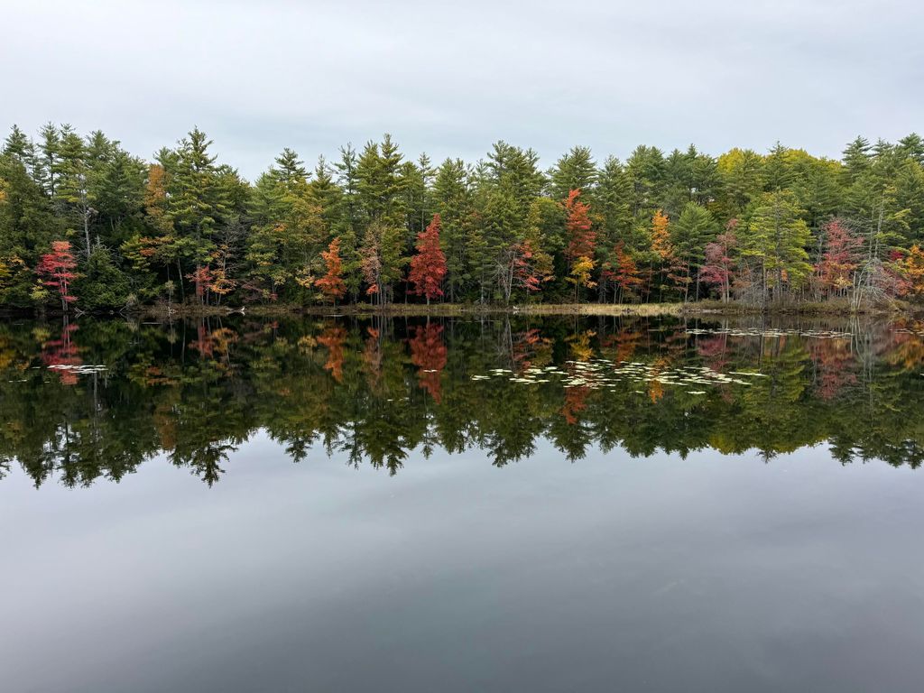 Photo of 148 Beaver Brook Road, Limerick, ME 04048 (MLS # 1653182)