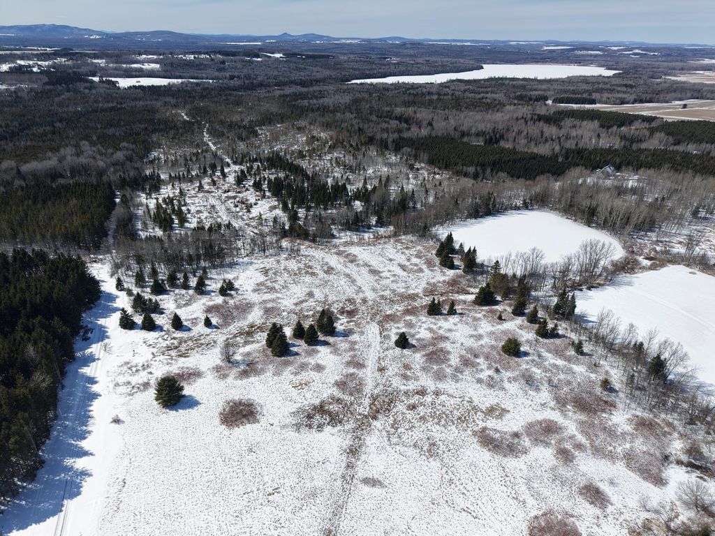 Photo of 217 Houlton Road, Presque Isle, ME 04769 (MLS # 1657884)