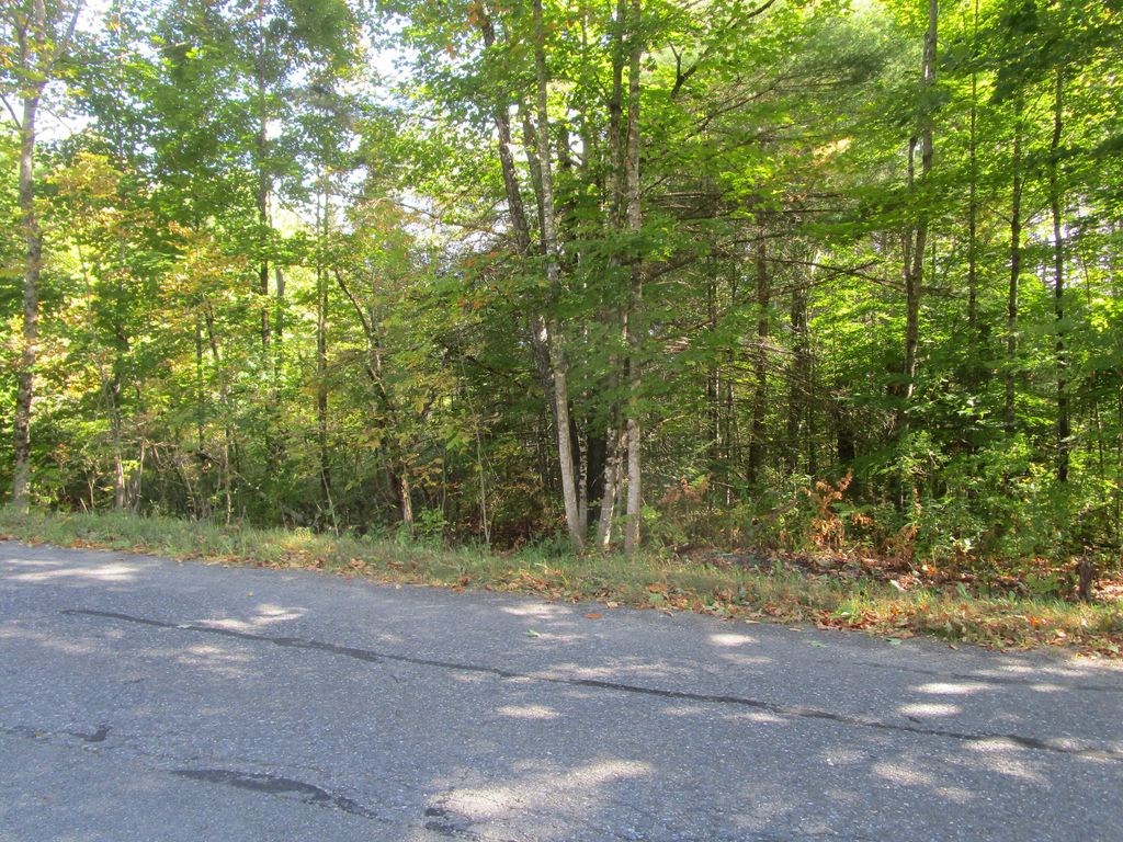 Photo of 000 Frenchs Mill Road, Sangerville, ME 04479 (MLS # 1639513)