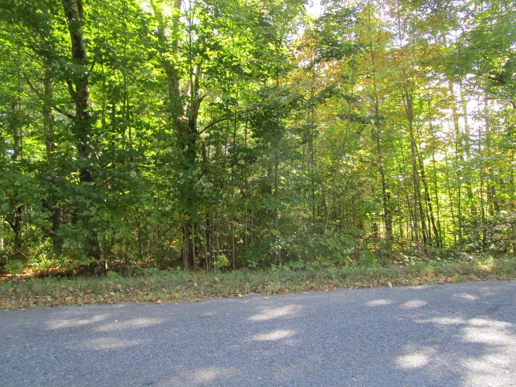 Photo of 000 Frenchs Mill Road, Sangerville, ME 04479 (MLS # 1639513)