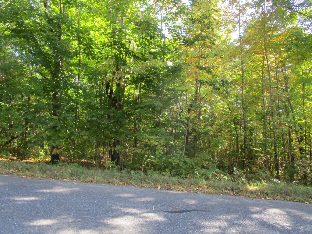Photo of 000 Frenchs Mill Road, Sangerville, ME 04479 (MLS # 1639513)