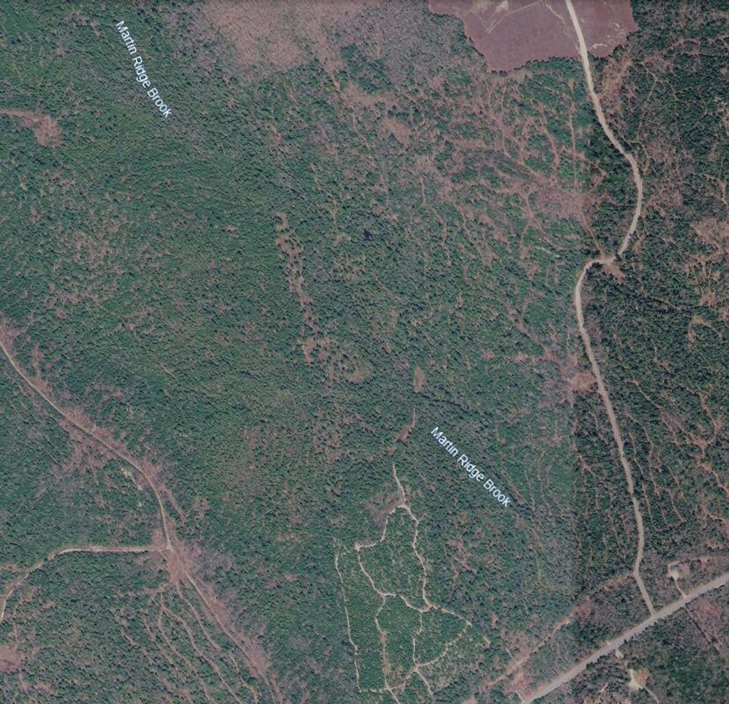 Photo of Map10Lot27 Blackswoods Road, Franklin, ME 04634 (MLS # 1652910)