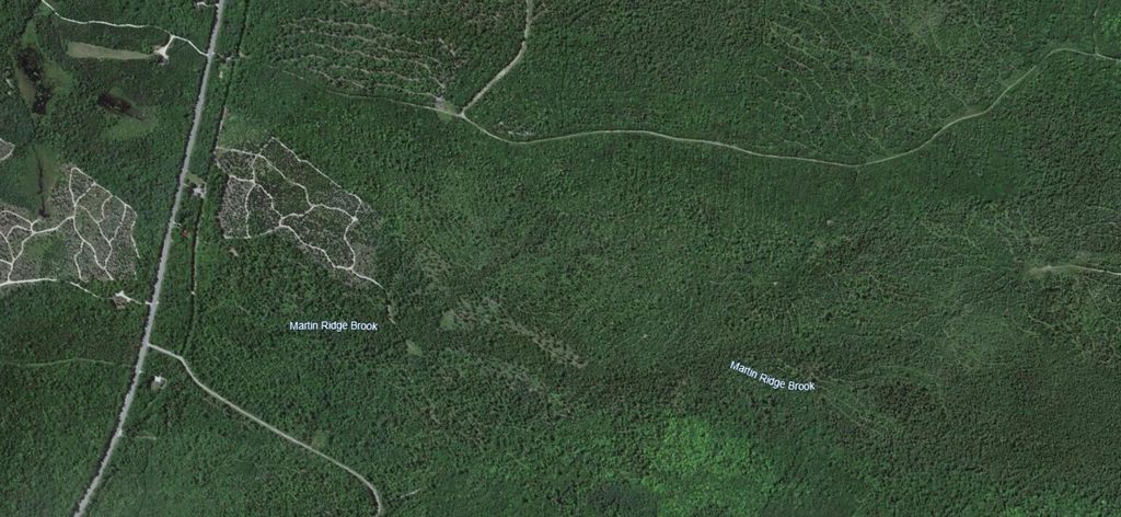 Photo of Map10Lot27 Blackswoods Road, Franklin, ME 04634 (MLS # 1652910)