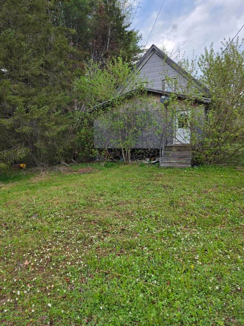 Photo of 46 Harding Street, Island Falls, ME 04747 (MLS # 1663483)