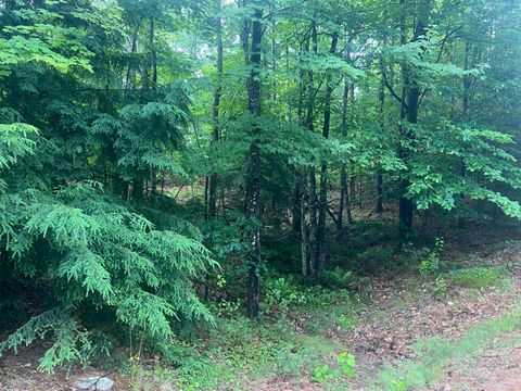 Photo of Lot #1 Intervale Road, Bethel, ME 04217 (MLS # 1628999)
