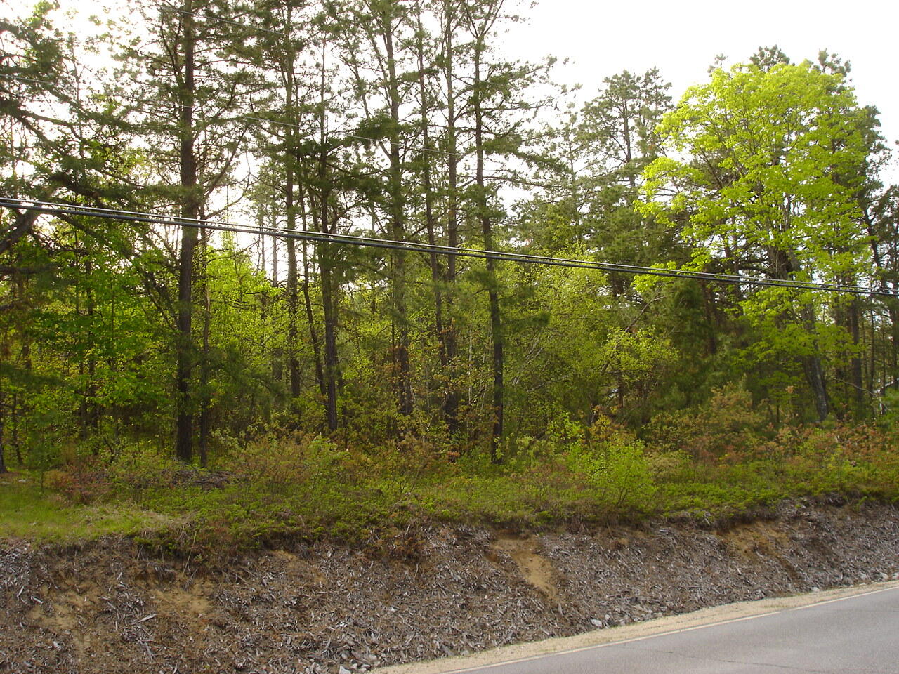 Lot 5 Newfield Road