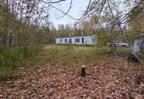 Photo of 42 Clewley Road, Glenburn, ME 04401 (MLS # 1657951)