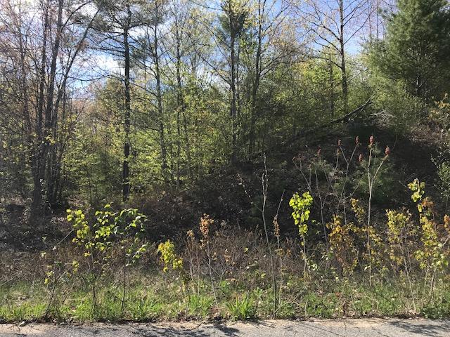 Lot 12 Prokey Drive
