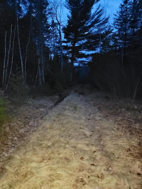 Photo of WA031 King Street, Marion Twp, ME 04628 (MLS # 1658340)