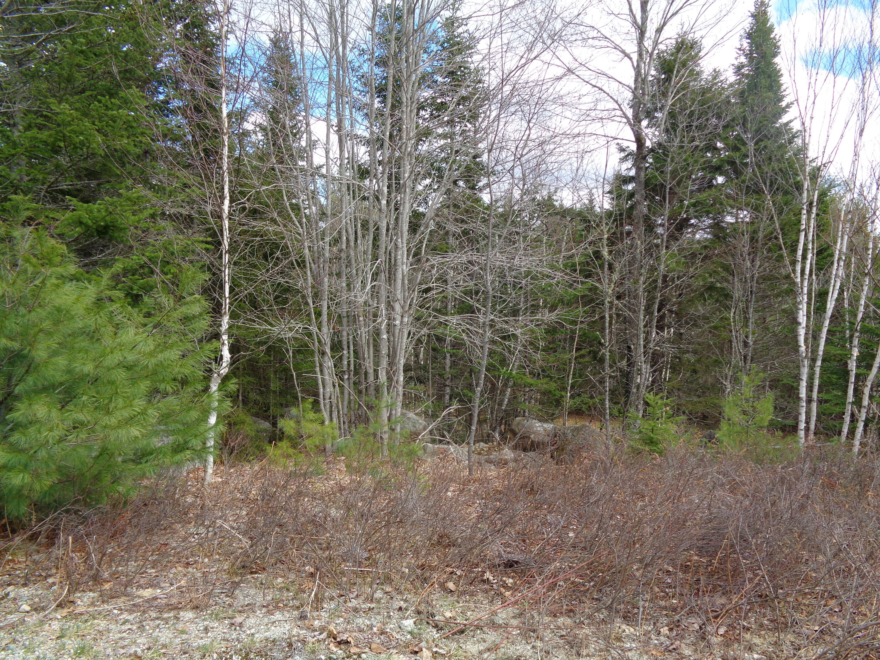 Lot 11 Bailey Mountain Road