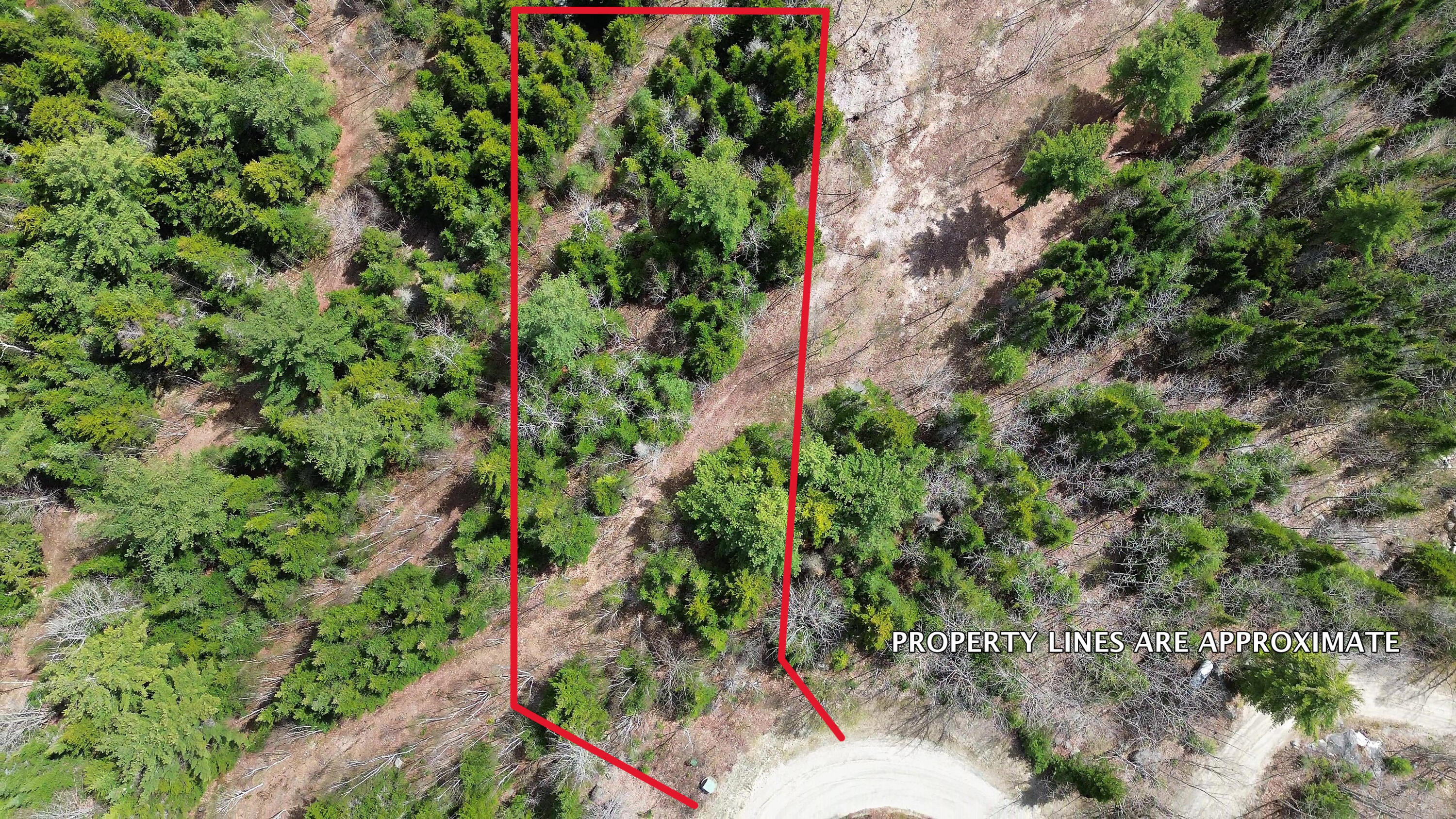 Lot 11 Bailey Mountain Road