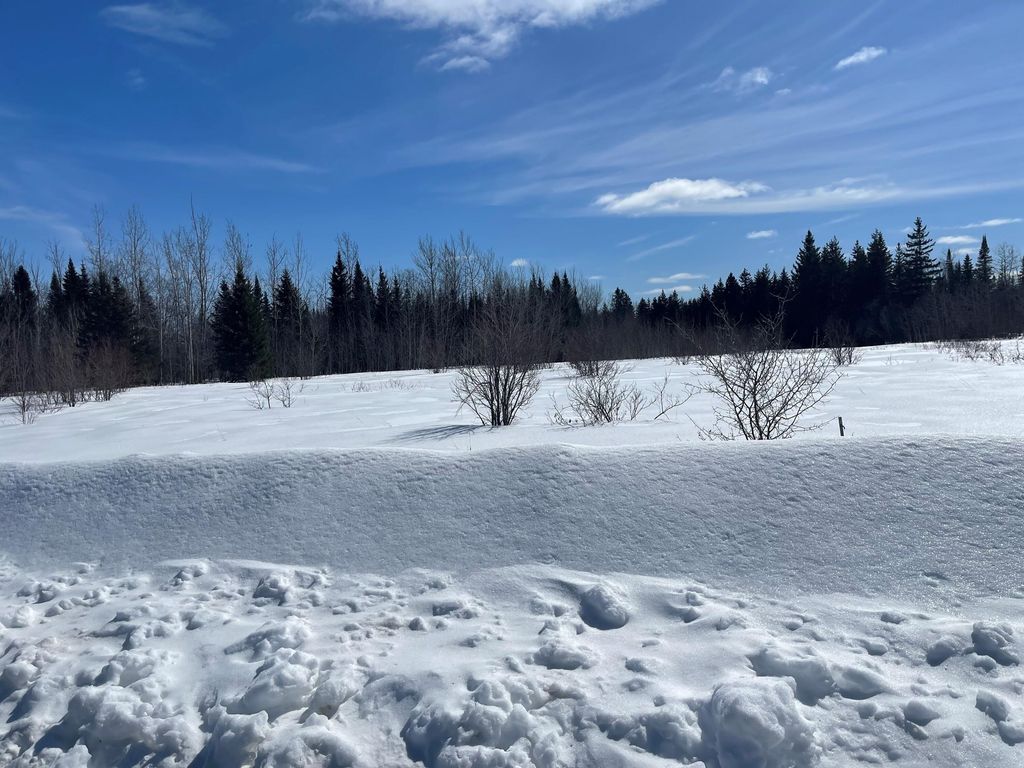 Photo of 778 New Dunntown Road, Wade, ME 04786 (MLS # 1523221)