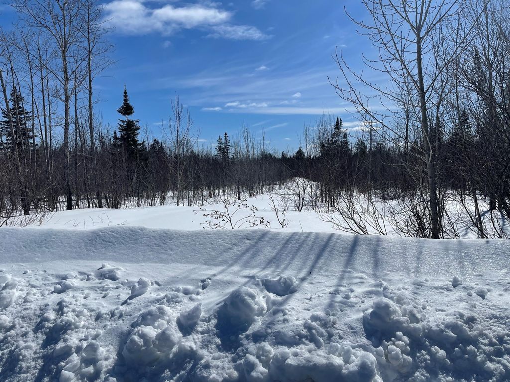 Photo of 778 New Dunntown Road, Wade, ME 04786 (MLS # 1523221)