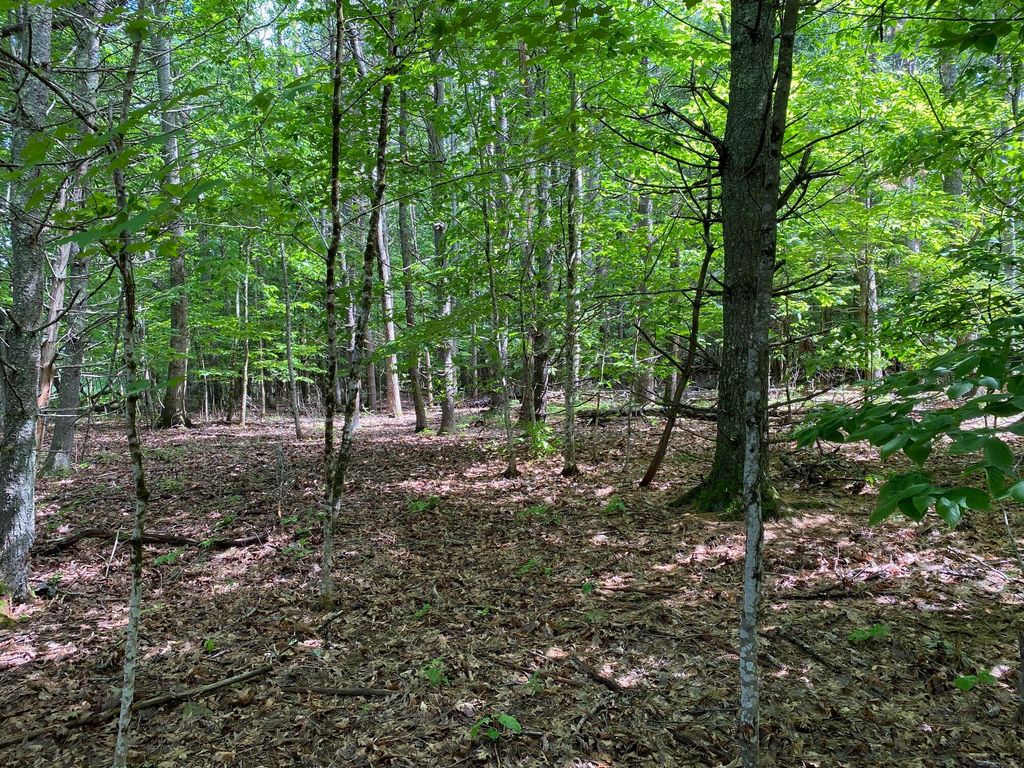 Photo of 00 Deering Drive, Gorham, ME 04038 (MLS # 1640104)