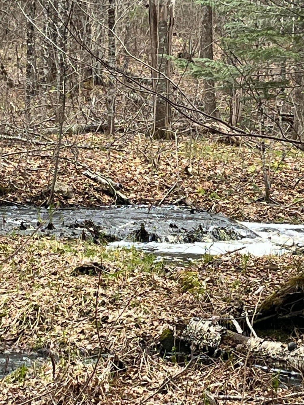 Photo of M6L16 Meadowbrook Road, Amity, ME 04471 (MLS # 1661436)