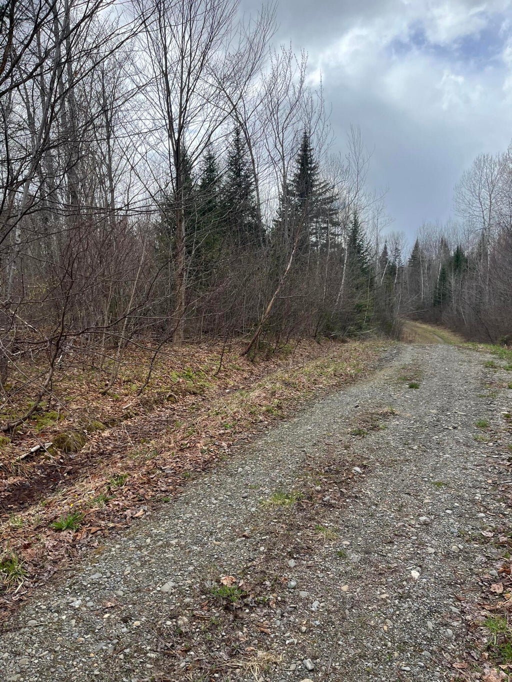 Photo of M6L16 Meadowbrook Road, Amity, ME 04471 (MLS # 1661436)