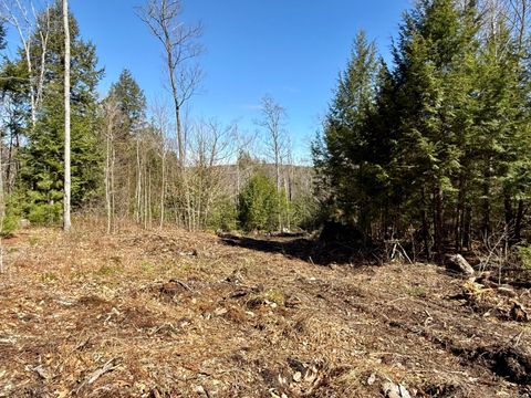 Photo of Map8Lot53B Buckfield Road, Paris, ME 04271 (MLS # 1660259)