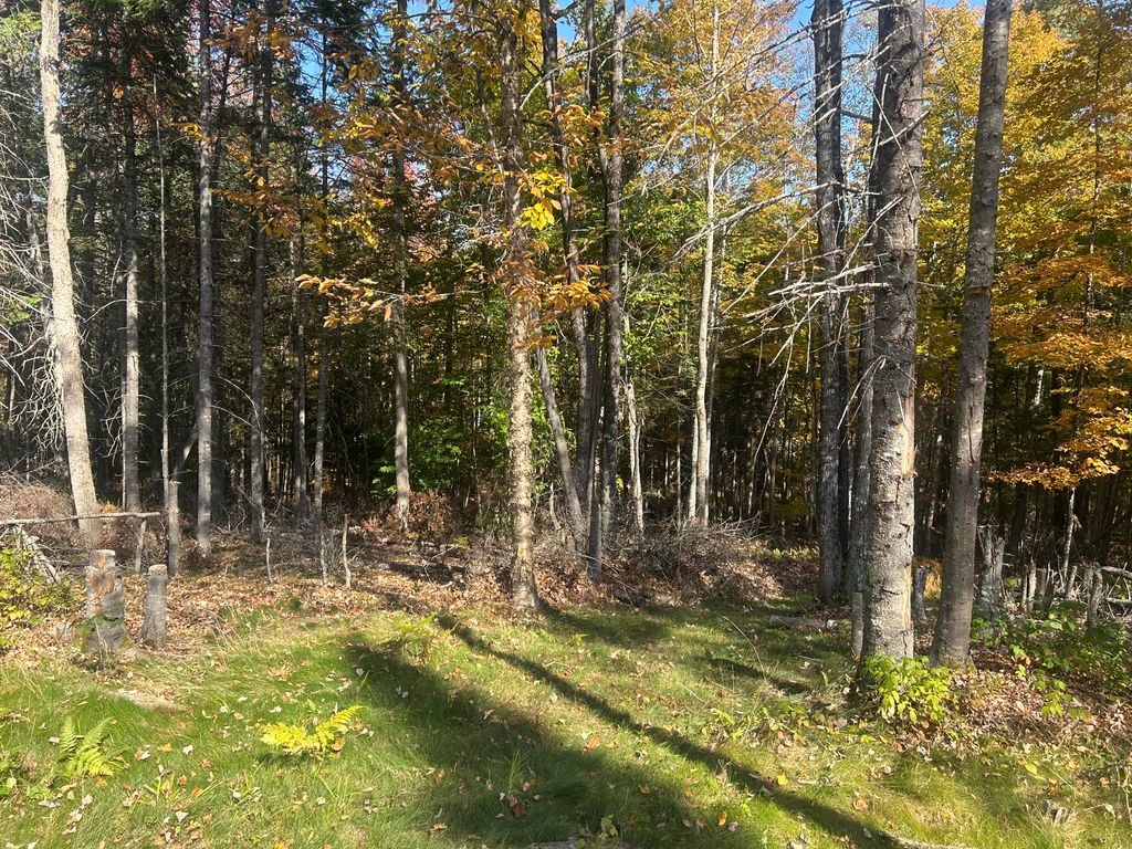 Photo of 75 Twin Oaks Drive, Saint Albans, ME 04971 (MLS # 1640148)