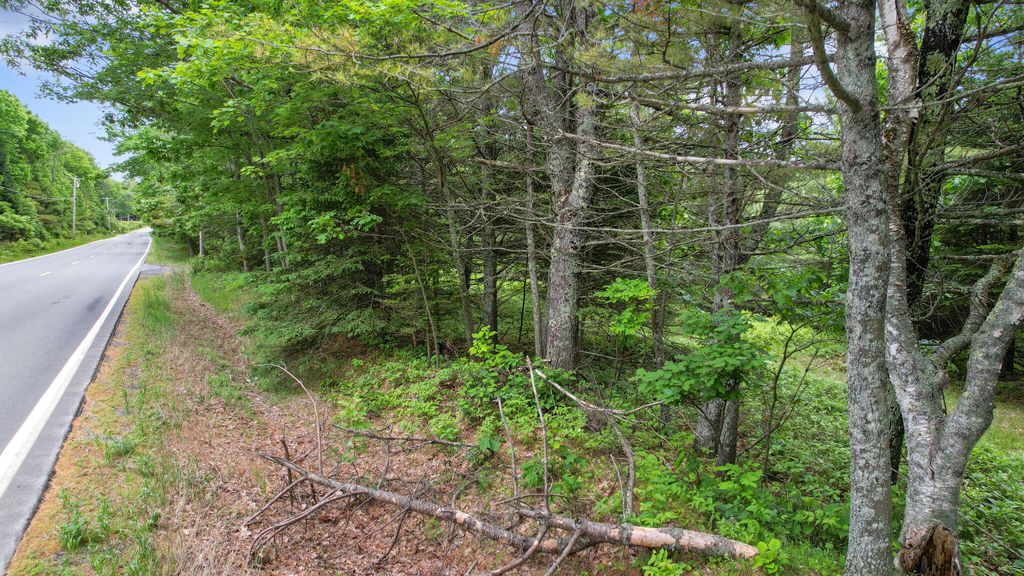 Photo of 00 Front Ridge Road, Orland, ME 04472 (MLS # 1649092)