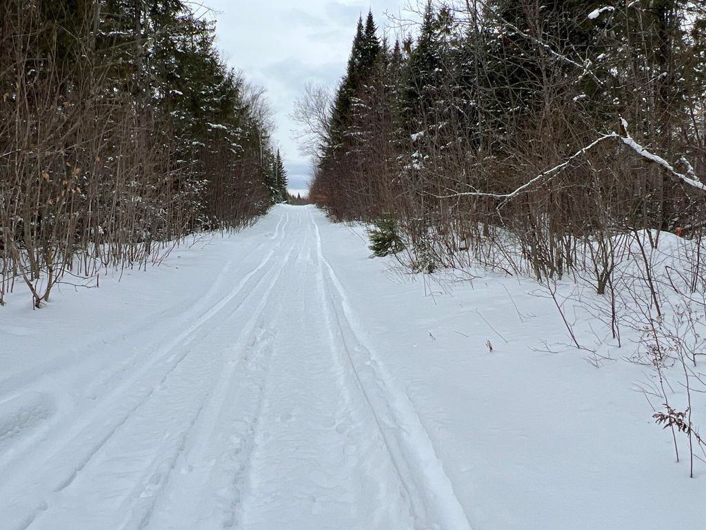 Photo of Lot 2-18 Shin Pond Road, Mount Chase, ME 04765 (MLS # 1650269)