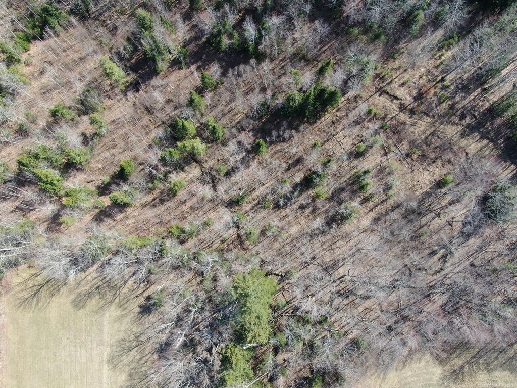 Photo of 0 North Road, Mount Vernon, ME 04352 (MLS # 1659378)