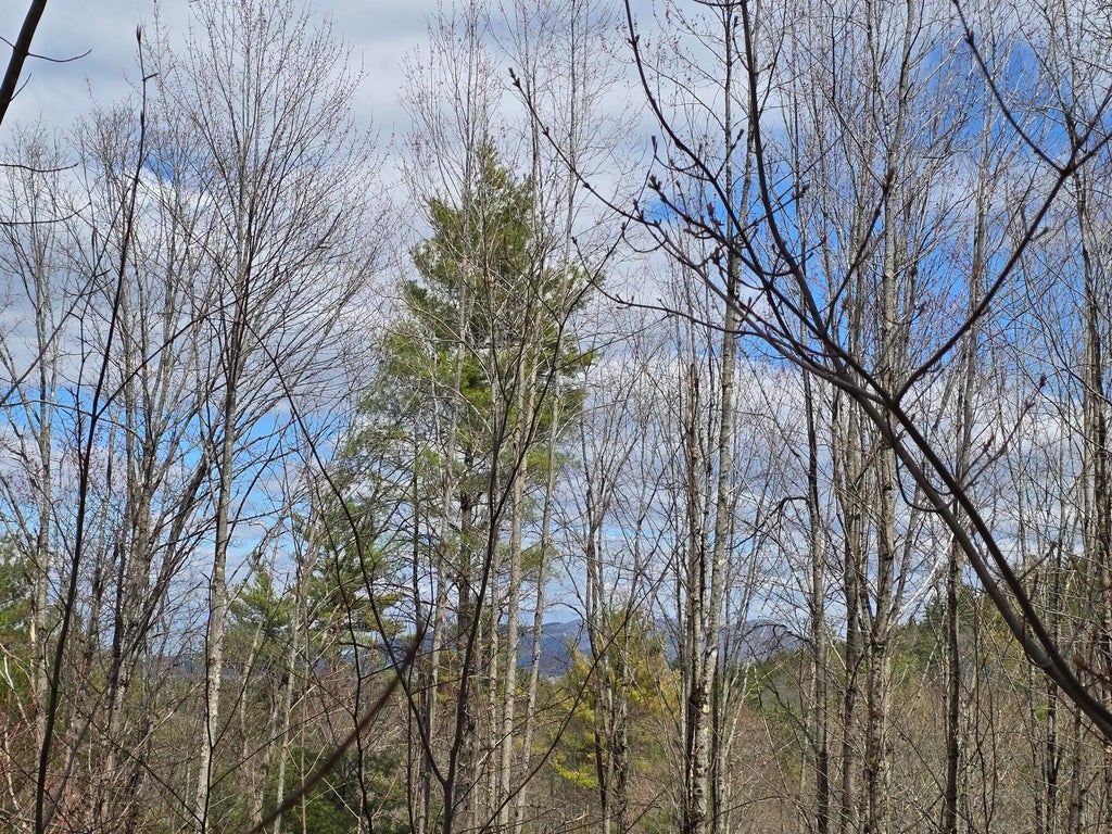 Photo of 00 Haley Town Road, Brownfield, ME 04010 (MLS # 1659269)