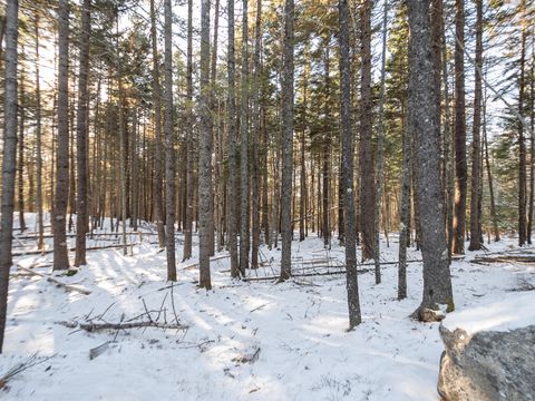 Photo of 25 Long Pond Road, Southwest Harbor, ME 04679 (MLS # 1646700)