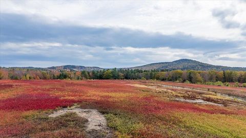 Photo of 423 Beech Hill Road, Northport, ME 04849 (MLS # 1646015)