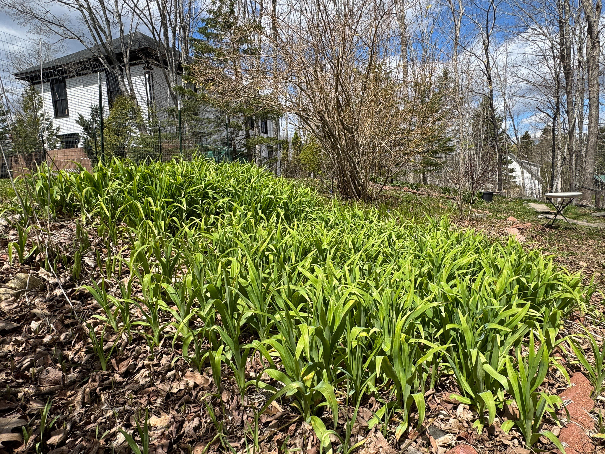 8 Leighton Point Road