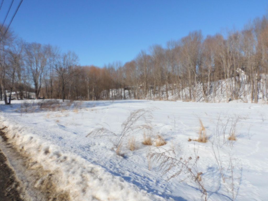 Photo of 44 Boardman Street, Calais, ME 04619 (MLS # 1652328)