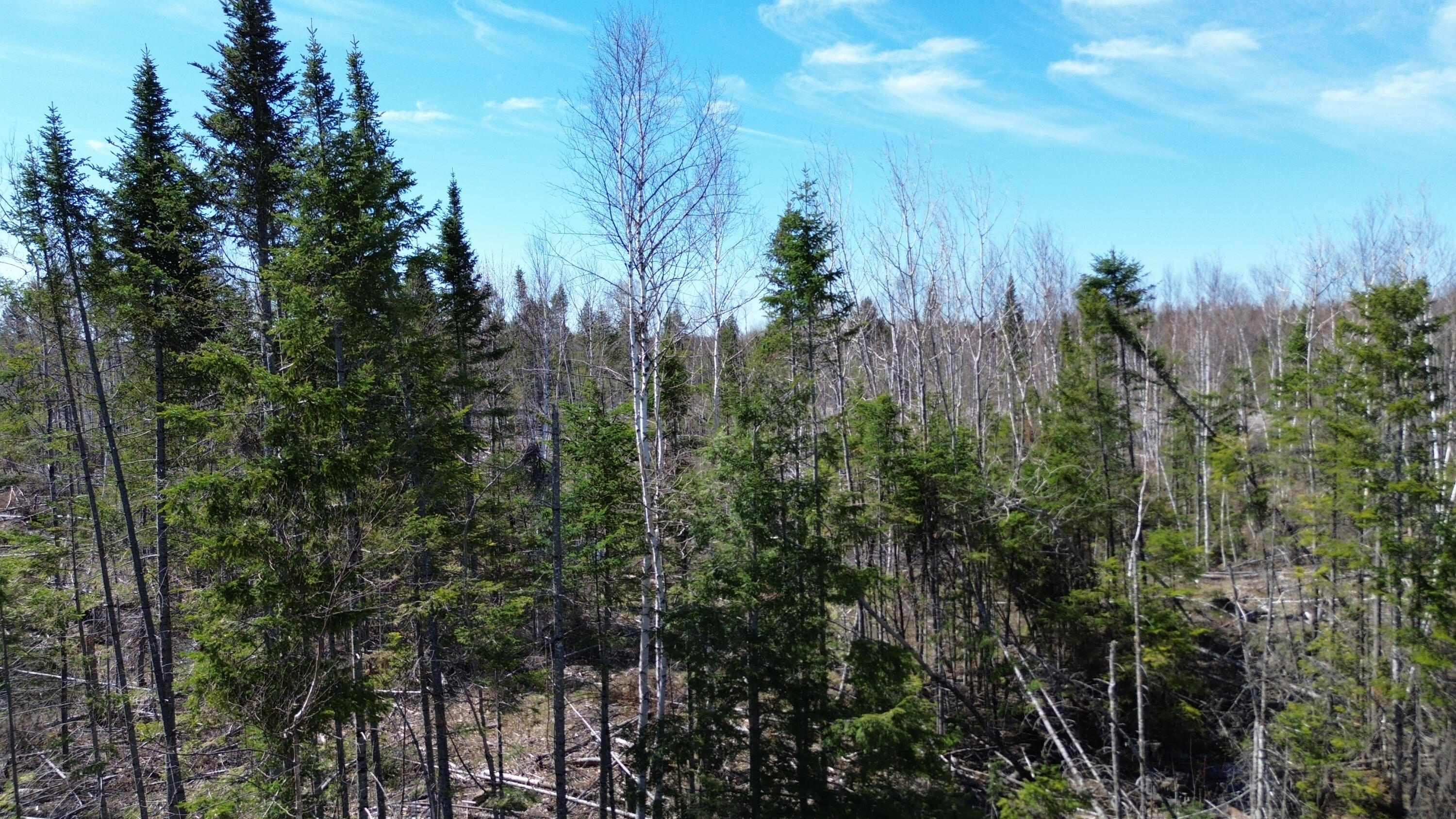 Lot 31C B Road Road