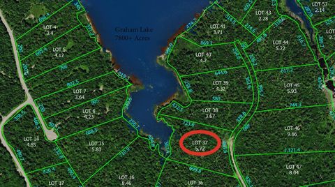 Photo of 40 Benjamin Way, Waltham, ME 04605 (MLS # 1655075)