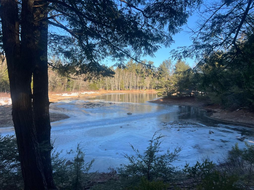 Photo of 40 Benjamin Way, Waltham, ME 04605 (MLS # 1655075)