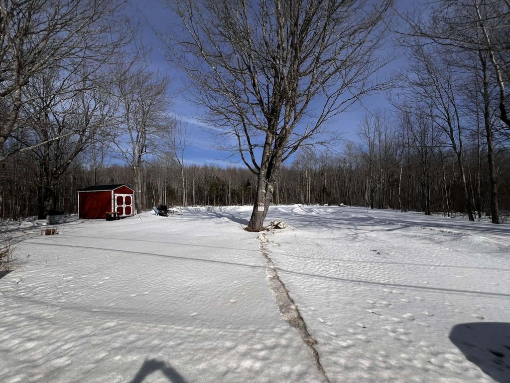 Photo of 322 Surry Road, Orland, ME 04472 (MLS # 1653123)