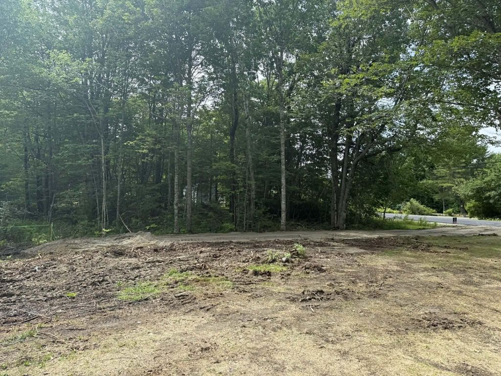 Photo of 322 Surry Road, Orland, ME 04472 (MLS # 1653123)