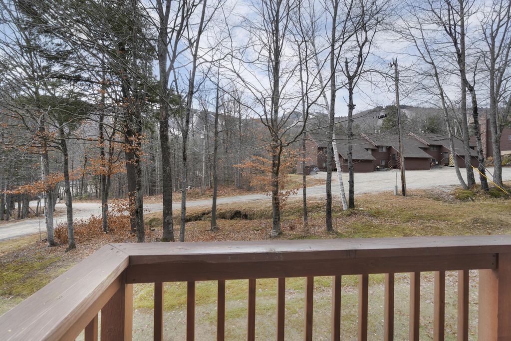 Photo of 153 Ridge Run Road #D5, Newry, ME 04261 (MLS # 1656417)