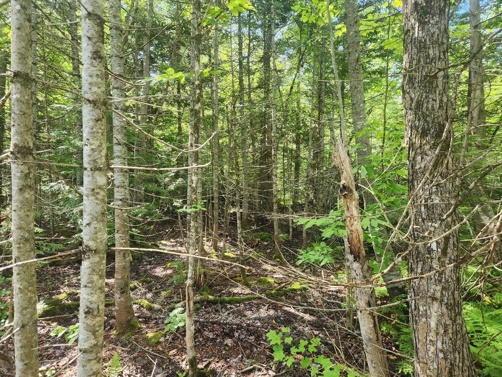 Photo of M6L26 Woodland Center Road, Perham, ME 04766 (MLS # 1631323)