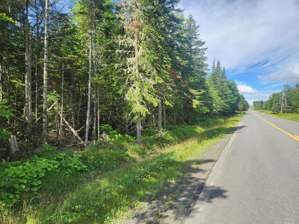 Photo of M6L26 Woodland Center Road, Perham, ME 04766 (MLS # 1631323)