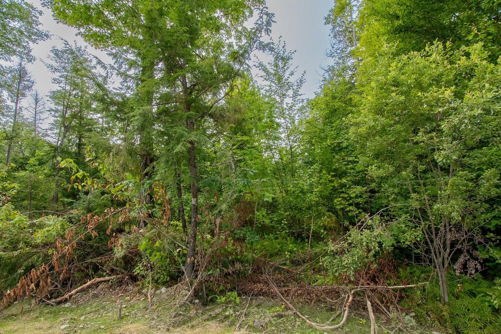 Photo of Lot1 Bear Brook Subdivision, Sebec, ME 04481 (MLS # 1648849)