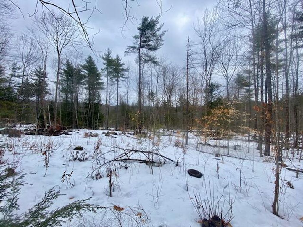 Photo of 1186 Middle Road, Parsonsfield, ME 04047 (MLS # 1657338)